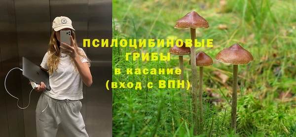каннабис Абаза