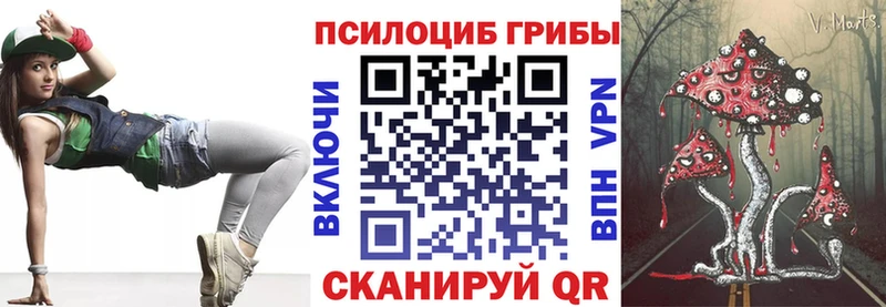 Галлюциногенные грибы Psilocybine cubensis  Череповец 